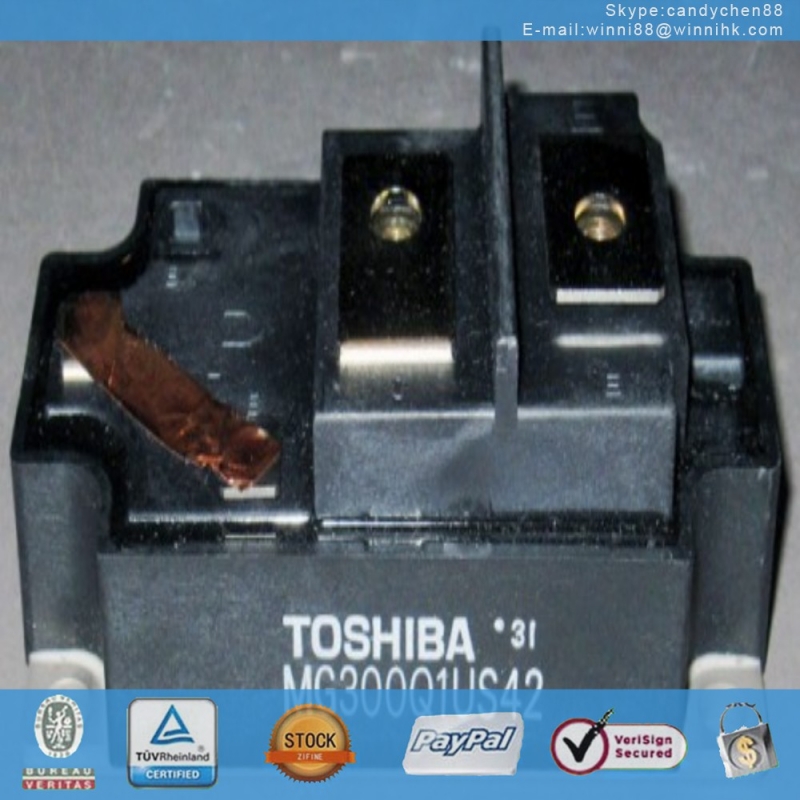 NeUe mg300q1us42 Toshiba - modul