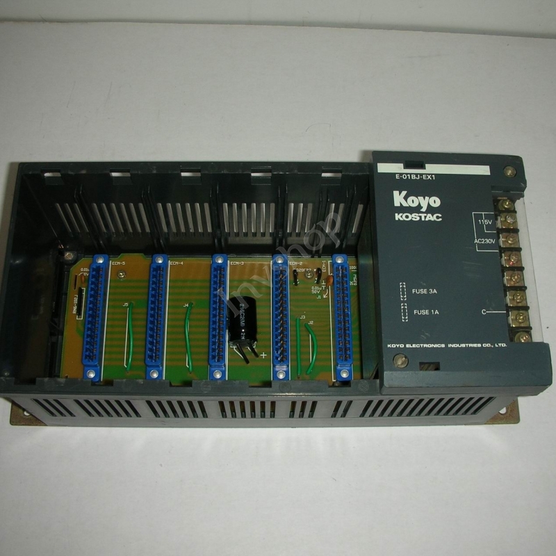 e-01bj-ex1 koyo plc verwendet