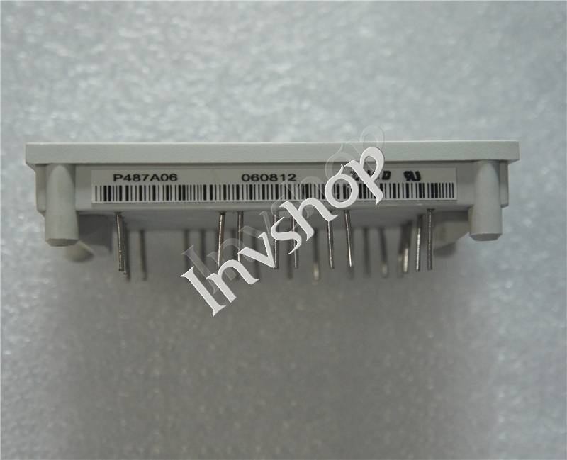 P487A06 New Power module